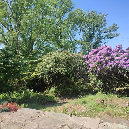 Y Cwtch - Panoramic Mountain Views Within Snowdonia'S National Park - 4X4 Recommended Villa Dolgellau Luaran gambar
