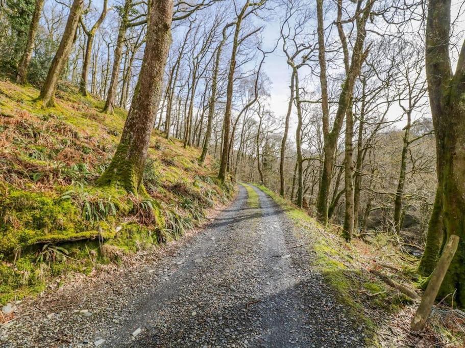 Y Cwtch - Panoramic Mountain Views Within Snowdonia'S National Park - 4X4 Recommended Villa Dolgellau Luaran gambar