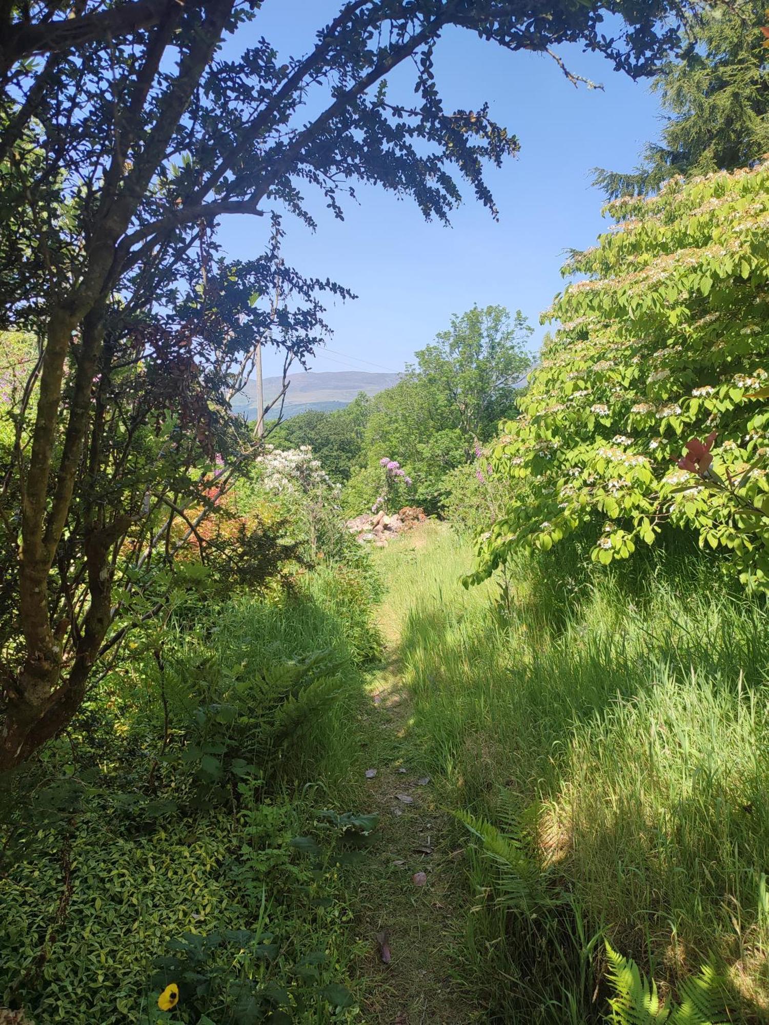 Y Cwtch - Panoramic Mountain Views Within Snowdonia'S National Park - 4X4 Recommended Villa Dolgellau Luaran gambar