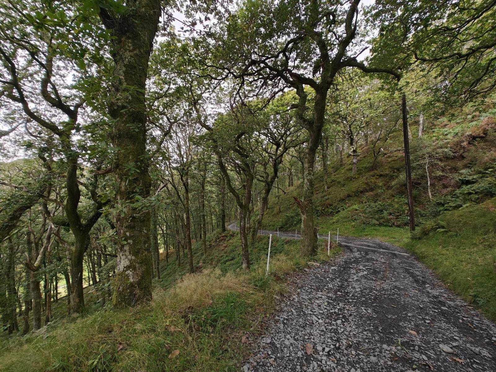 Y Cwtch - Panoramic Mountain Views Within Snowdonia'S National Park - 4X4 Recommended Villa Dolgellau Luaran gambar